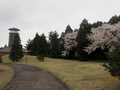 杉沢の沢スギ　自然館