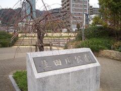 桜の名所　生田川公園

ちょうどいい時期に神戸に来ました。三宮駅から歩いて行ける桜の名所を探すと、生田川公園、生田神社、メリケンパークがヒットしました。