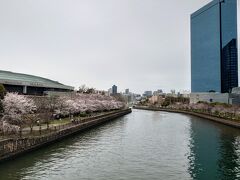 この時期にありがちな花曇の下の大阪城ホール…

平日の昼間だからか？花見客はチラホラ…