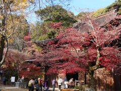 定光寺は紅葉の名所だそうで、ちょうど境内は紅葉まっさかり。