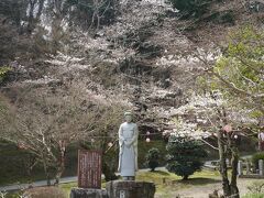 尾関山公園です。紅葉の時期には来ましたが、桜の時期に訪れるのは初めてです。
園内にはソメイヨシノをはじめ、ヤエザクラやエドヒガンなど約６００本の桜が咲きそろいます。三次観光公式サイトからのお知らせブログによると３月３０日現在５分咲きです。