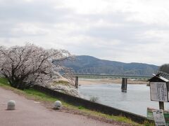 江の川の土手に来ました。カブト岩の案内板が見えます。