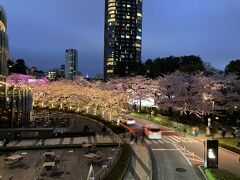 六本木のミッドタウン
ピンクにライトアップされていてきれい　ミッドタウン直結の橋は立ち止まって撮影不可でしたので、別の橋から

反対側からは東京タワーも見えました