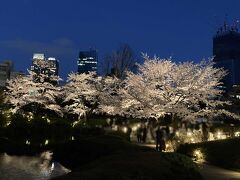 六本木ヒルズ内　毛利庭園
大都会とは思えないお庭　ライトアップありで夜桜がきれい