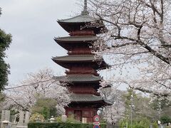 池上駅、西馬込駅から10分位　池上本門寺
関東最古の五重塔らしいです　お寺だから当たり前なんですが、周辺がお墓ばかりです…