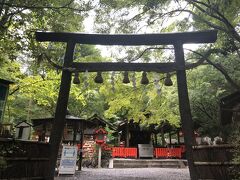 竹林の小径ですれ違う人が増えてきたなぁと思っていたら、野宮神社に着きました。
縁結びのお守りをいただいたが、初穂料500円で千円札を渡したら100円が5枚返ってきました。
縁結びだから分(別)れない小銭という意味が込められているのかと思ったが、尋ねてみると単に小銭が余っていたからだそう。