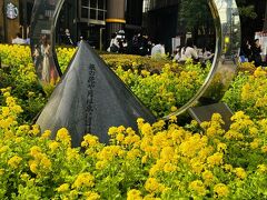幕間休憩に外に出たら、劇場前の広場に菜の花が☆.。.:*・゜

与謝蕪村の「菜の花や月は東に日は西に」の句碑があるのです。
