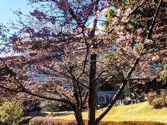 伊豆高原から岐阜駅へ
伊豆急行伊豆高原駅の桜が満開です。
春は寒暖の差が大きく、今日は風が少し冷たいです。