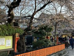 夕食は18時に祇園、花見小路のお店を予約しています。
17時半ころにホテルをでて徒歩で向かいました。日没は18時過ぎですので、まだ明るいですね。途中、祇園白川へ。
まあまあ咲いてます。朱色の玉垣や石畳もあって、いかにも京都の桜っぽい。