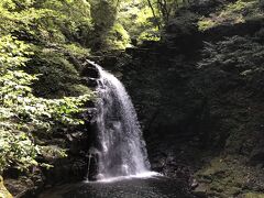 様々な滝が見れます