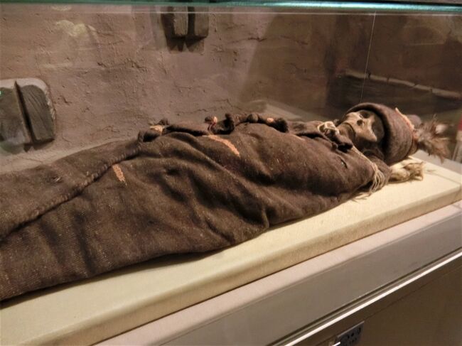 新疆ウイグル自治区博物館　図録（貴重品） 新疆ウイグル自治区博物館 図録（貴重品） 新疆ウイグル自治区博物館