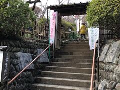 傾斜地にたくさんの植物