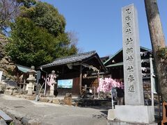 針綱神社の参道前を行き過ぎ・・・

ピンク色は、桜の花びらをかたどったおみくじですね。