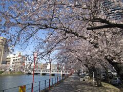 今日は一日
桜の広島の街を歩こう