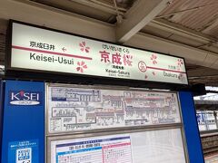 まずは京成線で京成佐倉駅へ。桜の季節だけ、「京成 桜 駅」と名乗る。
市長が現職になってから毎年これやってる