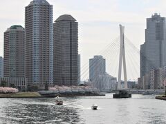 ちょっと回り込んで隅田川へ出てきました
