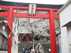 人混みを避けて裏通りへ。

元町の鎮守、厳島神社の桜も満開。
