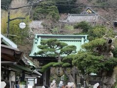 長谷寺、たくさんの人が見に来ていました。