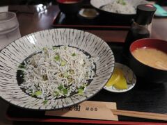 ランチはしらす丼。いろいろな種類のどんぶりがありました。しかし、シンプルなしらすだけの丼にしました。