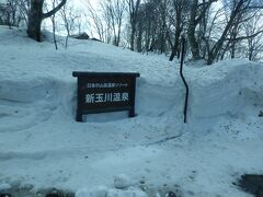 新玉川温泉到着、雪たっぷり