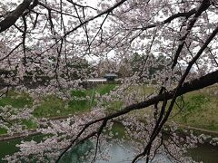 手前の桜と、その隙間に見える半蔵門の景色