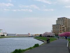 鶴見川沿いを戻って帰宅です。