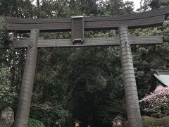 高千穂神社をお参り