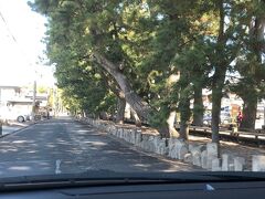 御穂神社参道の神の道の横を走って、