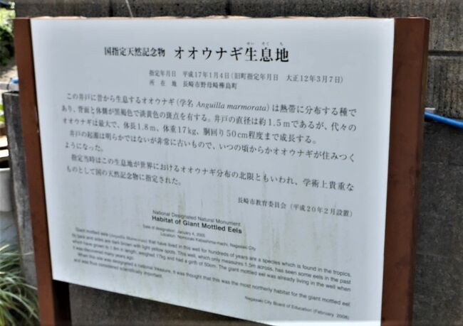 2022.3長崎野母崎外海ひとり旅3-樺島オオウナギ井戸,レストランだいまんでトルコライス,樺島灯台,伊王島灯台