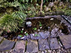 【人形流し】

同じ神社の中で...