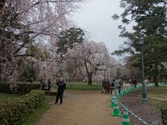 京都御苑