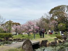 藤田邸庭園、開放されてます