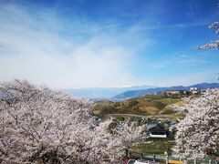 勝沼ぶどう郷駅は甲府盆地の高台にあり、桜と山々の風景が大変美しい！