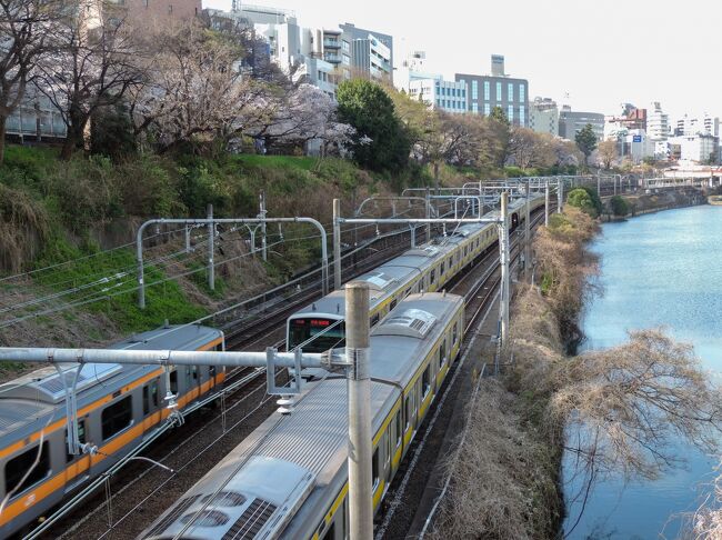 メトロ24時間券で行く東京桜ツアー ①千代田区編』市ヶ谷(東京)の旅行記・ブログ by Tokyo 634さん【フォートラベル】