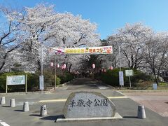 伊勢崎に宿泊したので、甘楽に行く前に伊勢崎の桜の名所へ。
華蔵寺公園です。