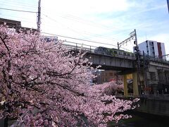 橋を渡ると行列が見えました。
9:00を過ぎたばかりの時間ですが良い天気ですし、信濃屋[http://www.torinikuya.com/]でお弁当を買うようです。

ガードを潜って、大崎橋から桜ごしに池上線が見えます。