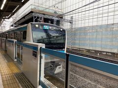 本日の宿泊地の横浜に向かいます。
東京の電車長いwww

昨日は仙台空港アクセス線が羽田便があるというのに
2両編成で車内ぱんぱんだった。
