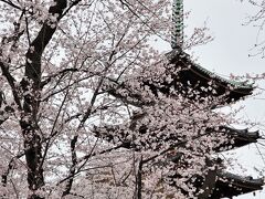 上野寛永寺の五重塔