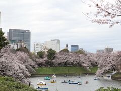 曇り空が残念だけど空に映える染井吉野