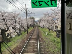 「桜のトンネル」へ
鳴滝駅から宇多野駅までの約200メートルのソメイヨシノ
車窓からの美しい春の景色を楽しむことができます