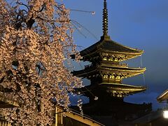 ねねの道を通って
八坂の塔へ

絵葉書になりそうな
枝垂れ桜とのツーショット
3週間前は・・・