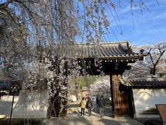 醍醐寺前へ

総門前
むか～し、昔のお伽話に出てくる春の情景みたい