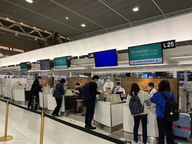 並んでいる人は少ないけど、証明書の提出やらで、一人一人の対応が長く時間かかっています。<br />特に、宣誓書を用意していないとさらに時間がかかっている模様。<br />私はちゃんと宣誓書は家でコピー&amp;記入し、持参してきました。<br />書式が12月からだっけかな？変わっていて7枚あり、ぜーんぶ英語でどこにチェックするのやらさっぱり分からず、また、過去の記入方法は検索すると出てくるのに今のがほとんど見つからない。<br />でも、YouTubeでやっと最近のを解説してくれる動画見つけて何とか。<br />YouTube、また解説してくれた方ありがとう。<br />なので、パスポート、ワクチン接種証明書、陰性証明書、宣誓書を提出し、手続きはスムーズでした。