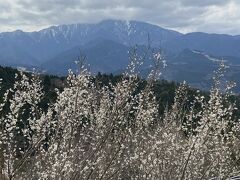 馬籠からの恵那山、頂上付近に未だ雪が残ってました。