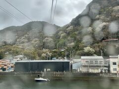 寝姿山が駅メモのイベントのスポットになっていて、地図を見ると、道があるみたいに見えるので、車で行ってみたのですが、途中から舗装された道がなくなって、結局スポットには近づけなかったので（駅メモの駅以外のイベントスポットは範囲が非常に狭いです）、素直にロープウェイを利用した方が良いです。

もちろん、登山やハイキングが趣味であるなら、歩きで登るというのはありだと思いますが…。歩きで登ればスポットの範囲内に入れたかもしれません。でも、車ではダメでした。

と、いうわけで、一旦ロープウェイの下界の方の駅に戻ってきて、ロープウェイに乗りました。
駐車場はあります。ロープウェイに乗るなら無料で停められます。

写真は、ロープウェイの中から撮ったのですが、雨が降っていて、窓に雨粒がついていたんですよね。そうそう、素直にロープウェイに乗らなかったのは、雨が降ってたからなんですよね。千葉で懲りたので。晴れなら車を試さず、素直にロープウェイに乗ってました(^_^;)。