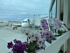 さて、那覇空港に到着。綺麗なランの花が出迎えてくれます。