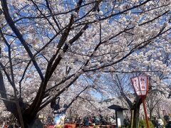 円山公園にはいりました