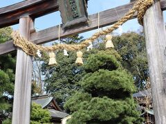 松陰神社です。
ここの桜はもう散り始めていました。