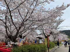 「円山公園」へ。