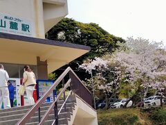 鋸山ロープウェイの乗り場です。桜はまだ散ってません。